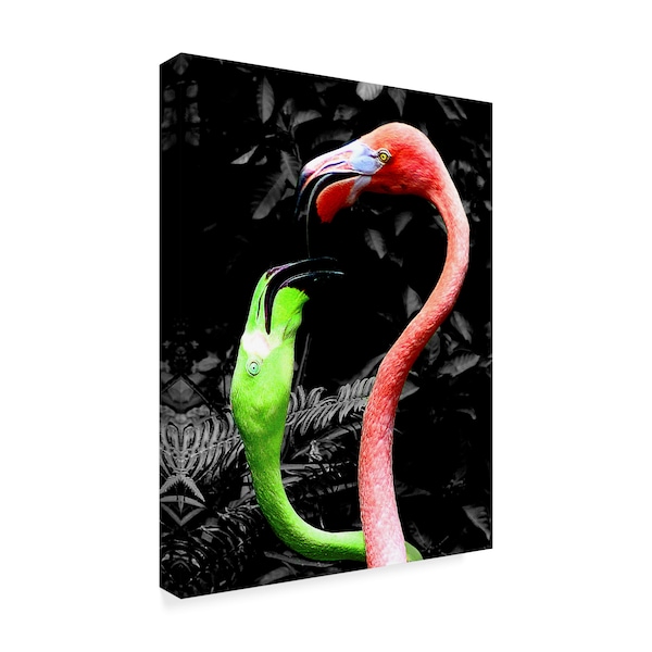 Dana Brett Munach 'Flamingos Pink And Green' Canvas Art,24x32